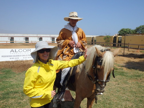 Peruvian Step Horse Show.